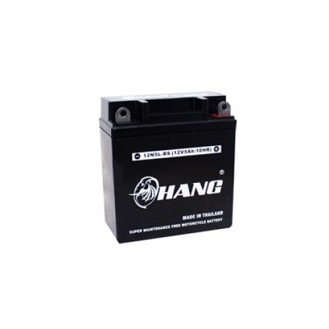 Bình Ắc Quy Xe Máy Chang 12N5L-BS (12V-5AH)