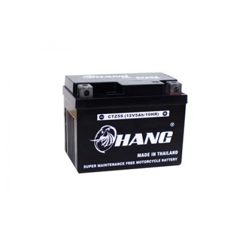 Bình Ắc Quy Xe Máy Chang CTZ5S (12V-4AH)